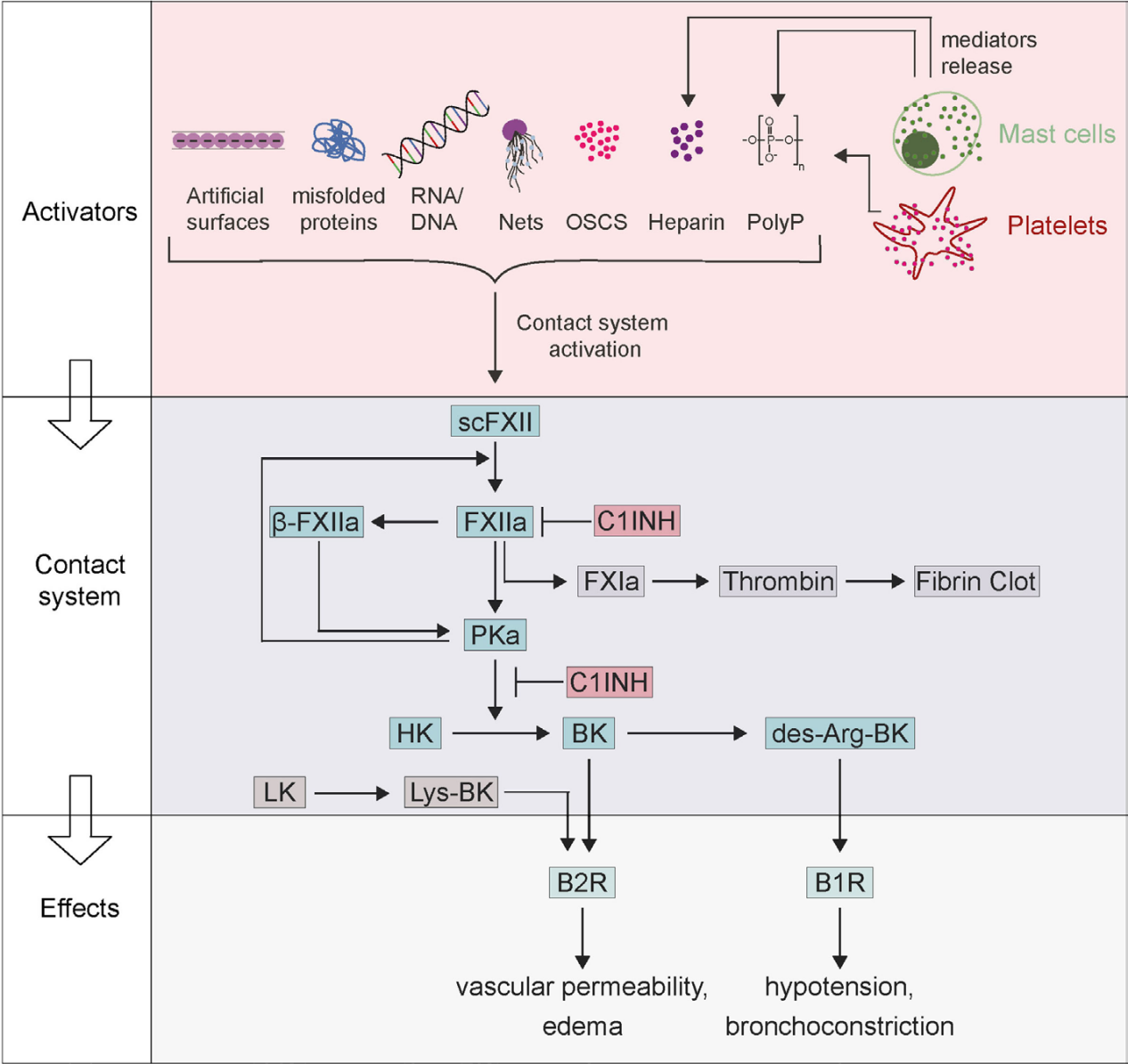 (Data source: Bender L, et al. Front Immunol. 2017)