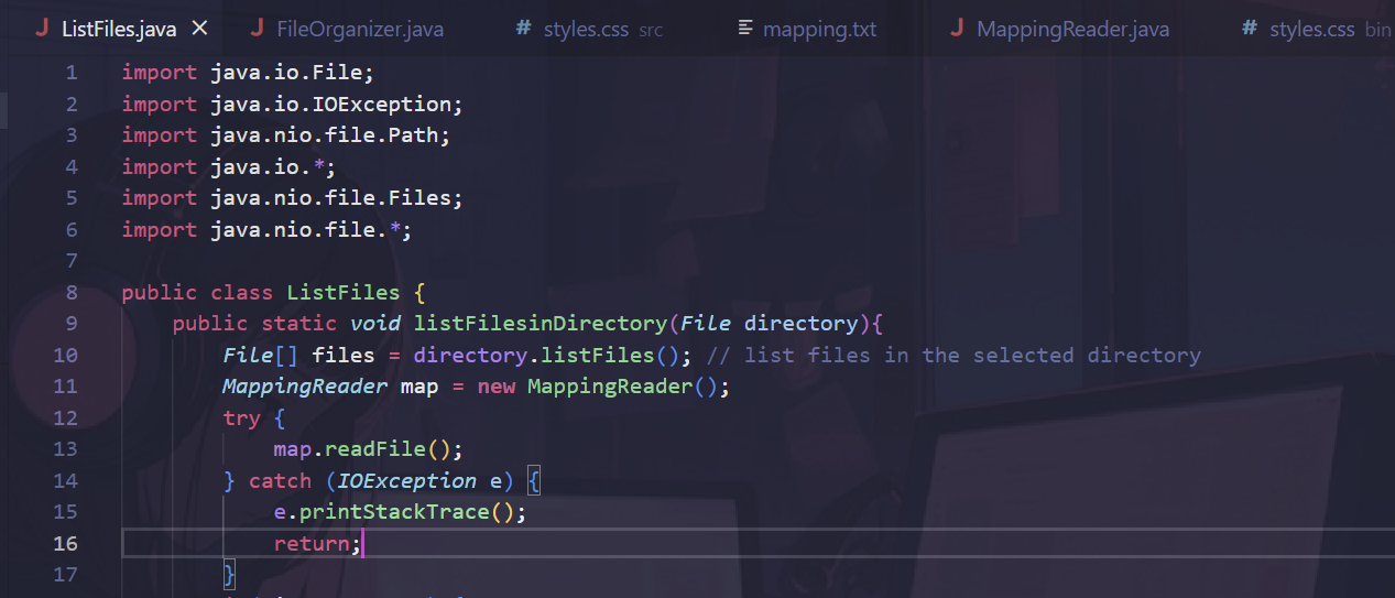 How I Made My File Organizer Using Java