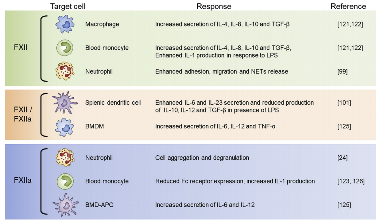(Data source: Maas C, et al. Blood. 2018)