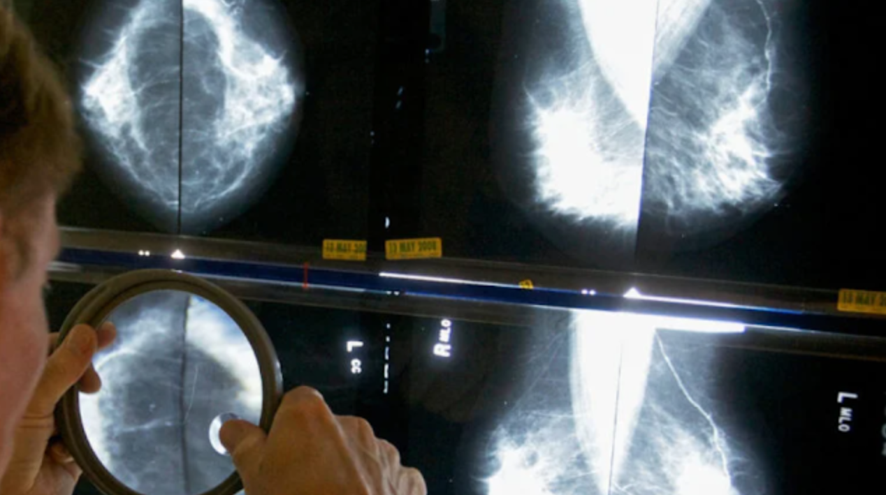 Investigation at Uxbridge High: What a Possible Cancer Cluster Means for a Modern School
