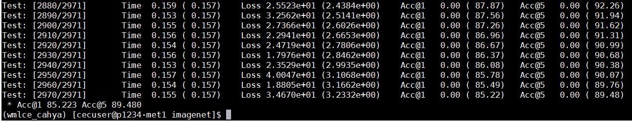 Illustration-17: Output result with Large Model Support uses a batch size value of 16.
