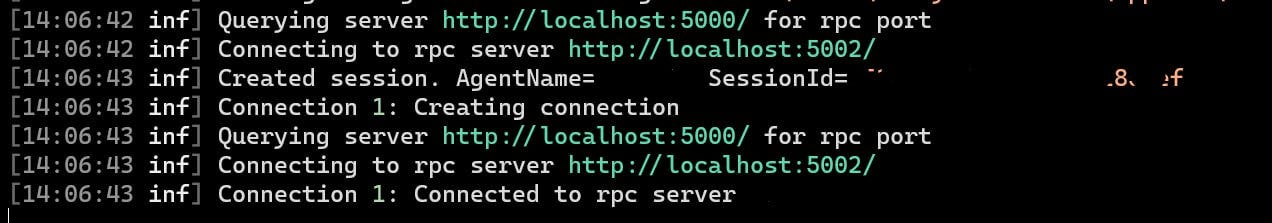 Agent output, that it’s connected to server.