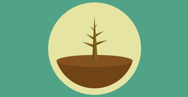 caoutchouc plante Tipps zur Pflege deiner Pflanze : Ficus elastica robusta  PflanzenFuerAlle