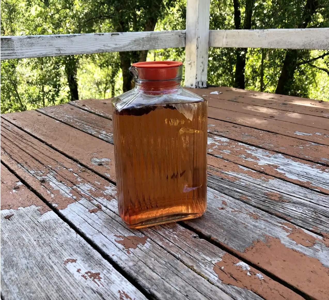 The back porch gets plenty of sun