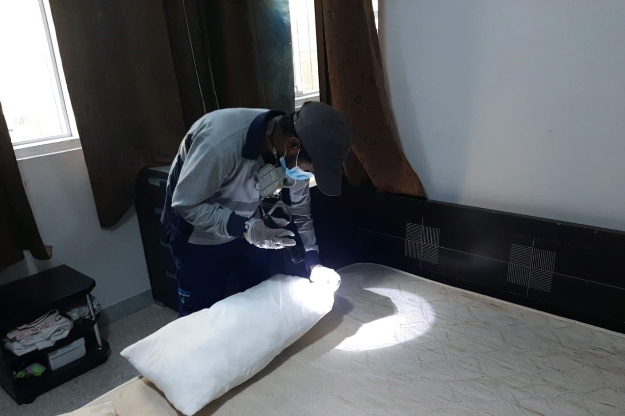 What Can I Do to Prevent Bed Bugs from Coming Back After Bed Bugs Control Treatment in Abu Dhabi?