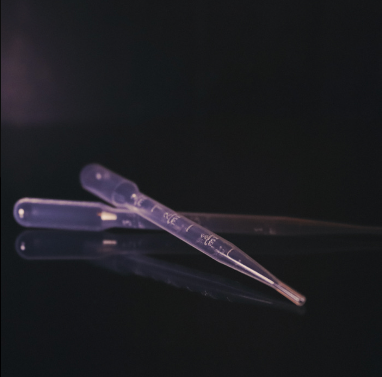 The Invisible Work Behind A Bottle Of Perfume