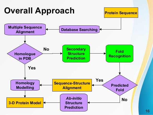 A guide for protein structure prediction methods and software | by Helene  Perrin | Medium