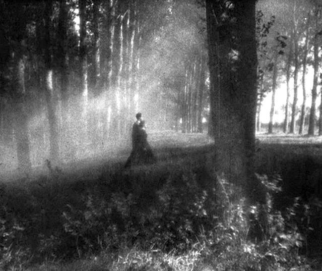 Cinematography of Carl Theodor Dreyer: Performative Camerawork,  Transgressing the Frame (The Fairleigh Dickinson University Press Series in  