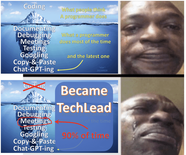 Lead Tech Memes