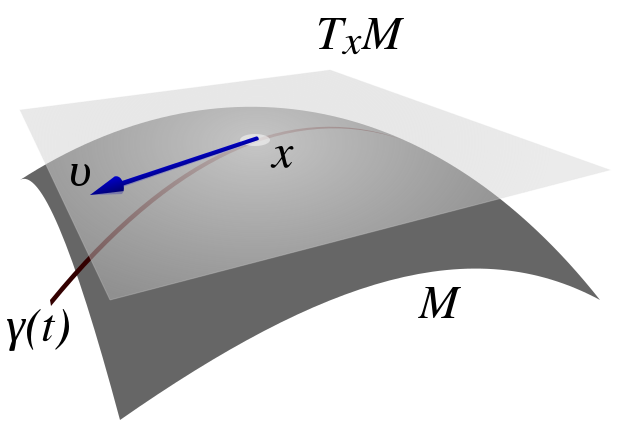 Fibre Bundles and Fibrations. The fascinating topology of