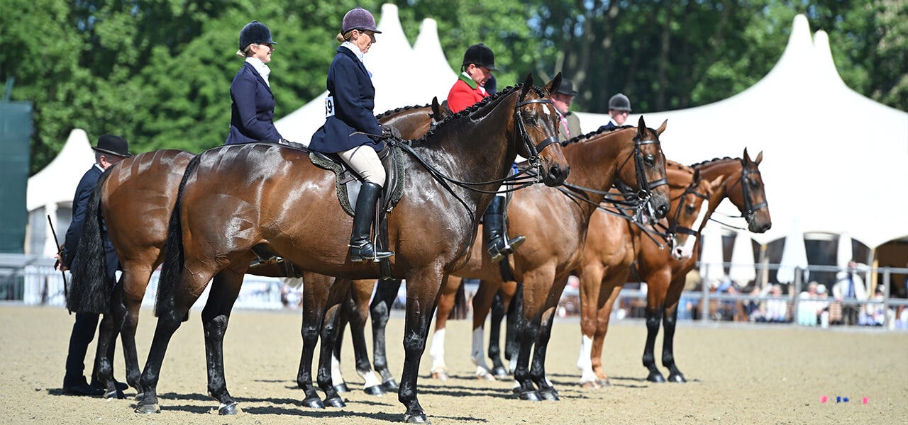 How to Manage Competition Nerves: A Rider’s Guide to Performing with Confidence