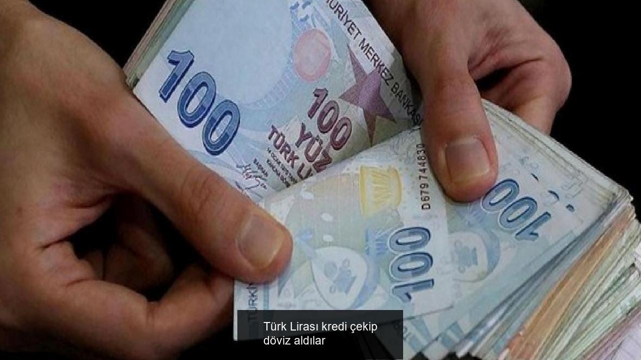 Türk Lirası kredi çekip döviz aldılar