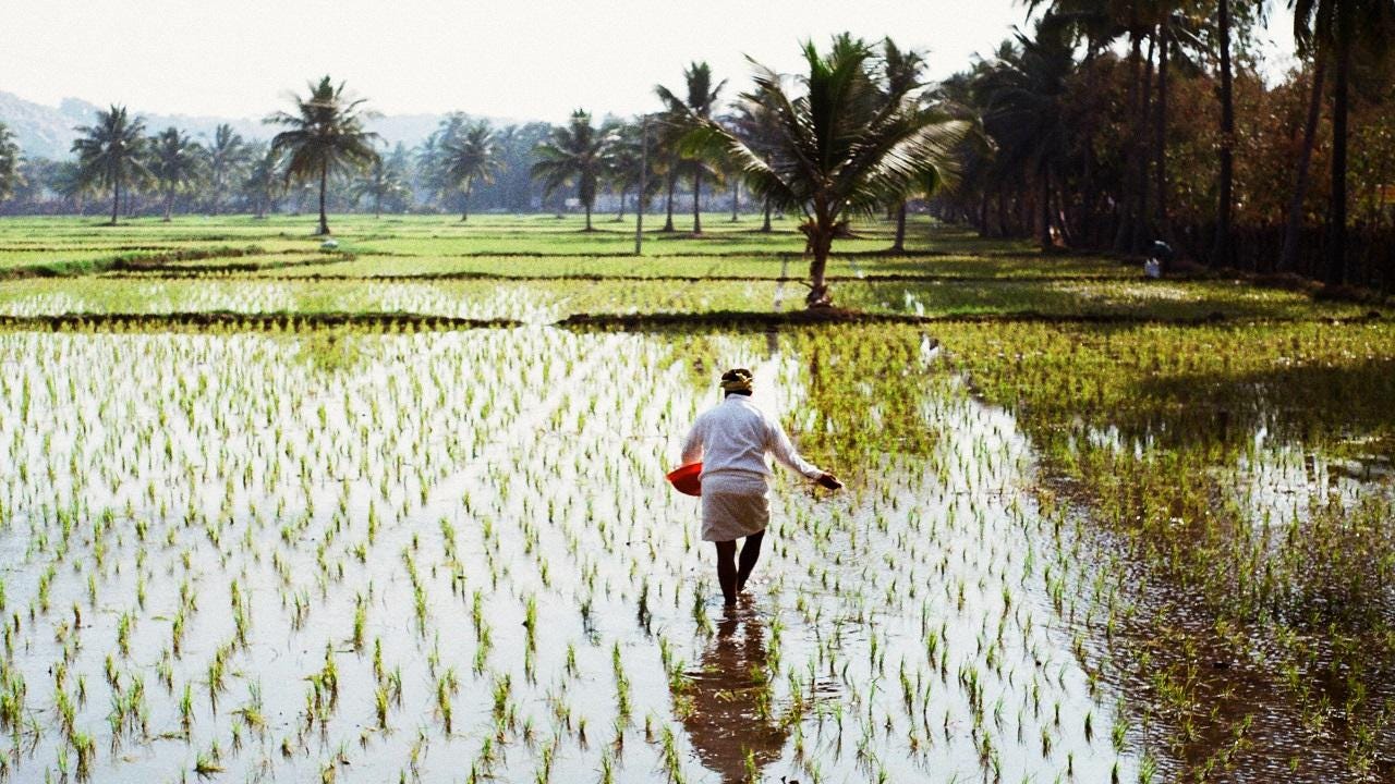 Maharashtra govt announces relief package for fishermen affected by rains