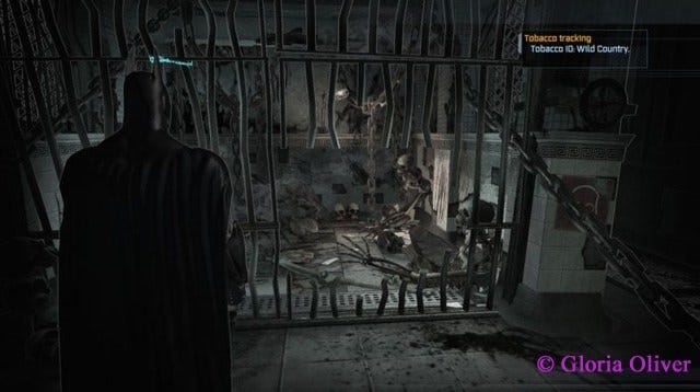 arkham asylum tobacco tracking Virtual Tourist — Batman: Arkham Asylum 3/5/21 | by Gloria Oliver | Virtual  Tourist