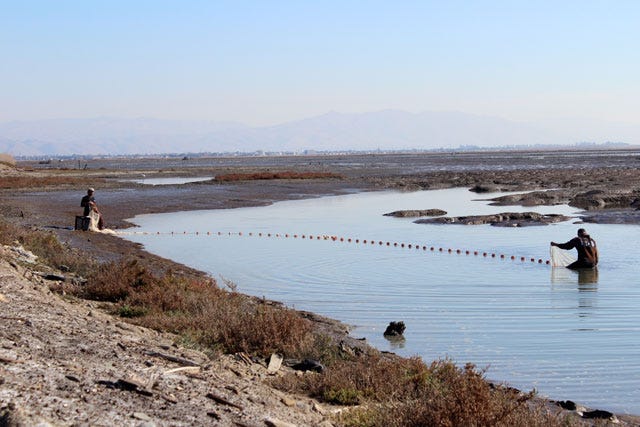 In the South Bay Salt Ponds, Better Science Through Fishing, by Alessandra  Bergamin