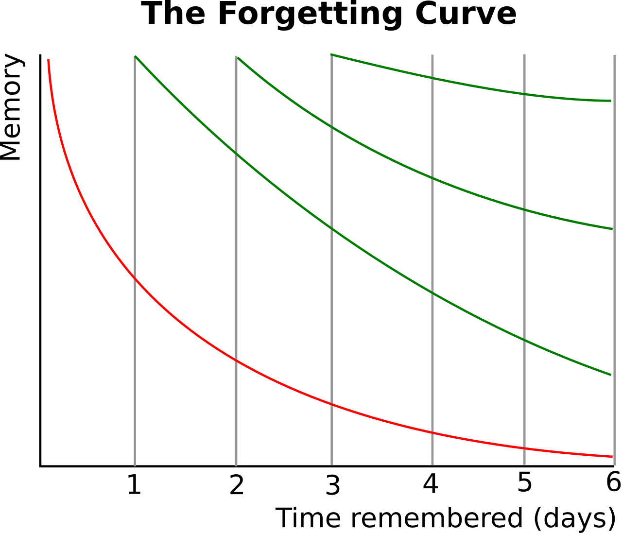 Forgetting Curve with Spaced Repetition