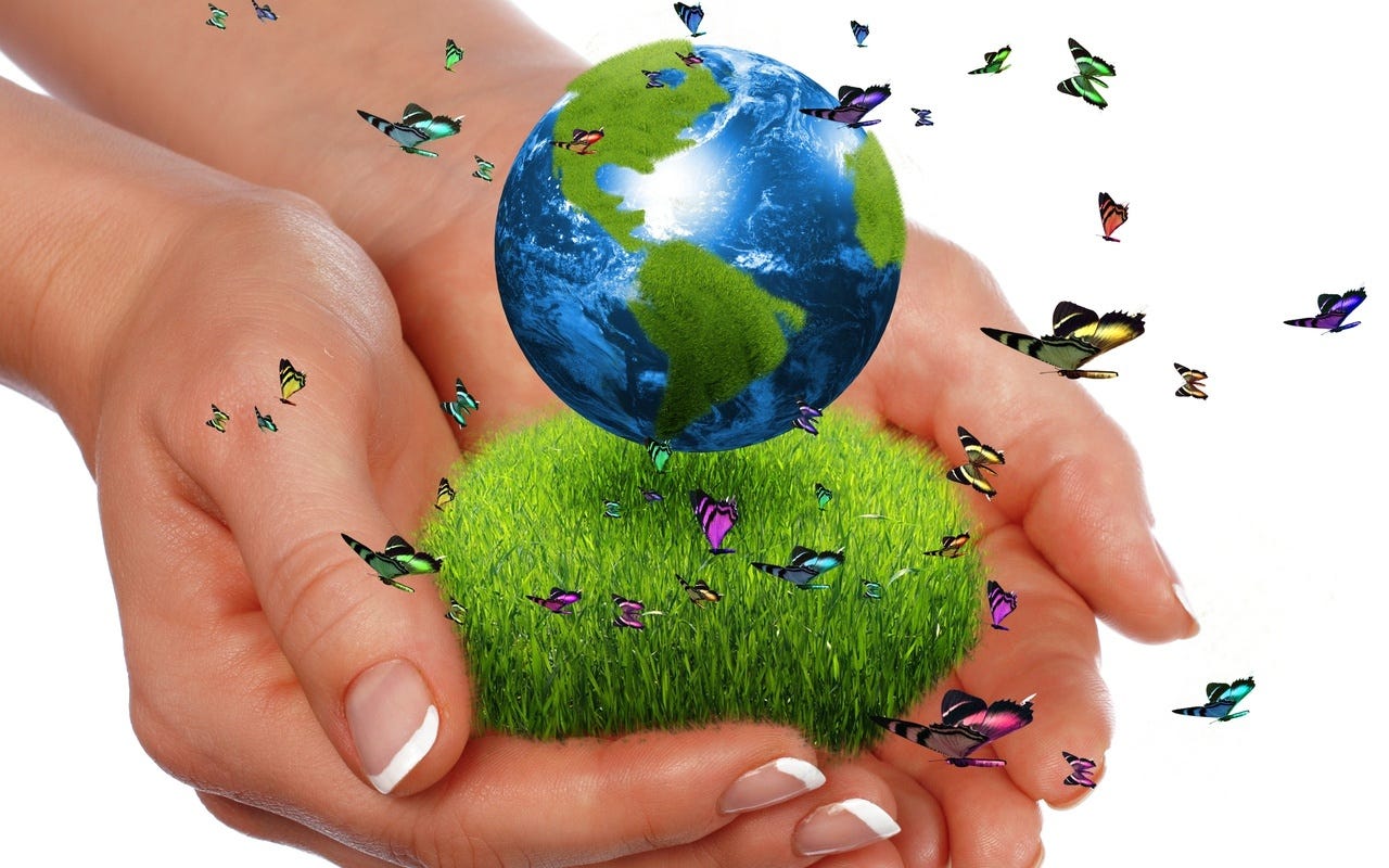 Energía para hacer nuestro mundo más verde. / Energy to make our world greener.