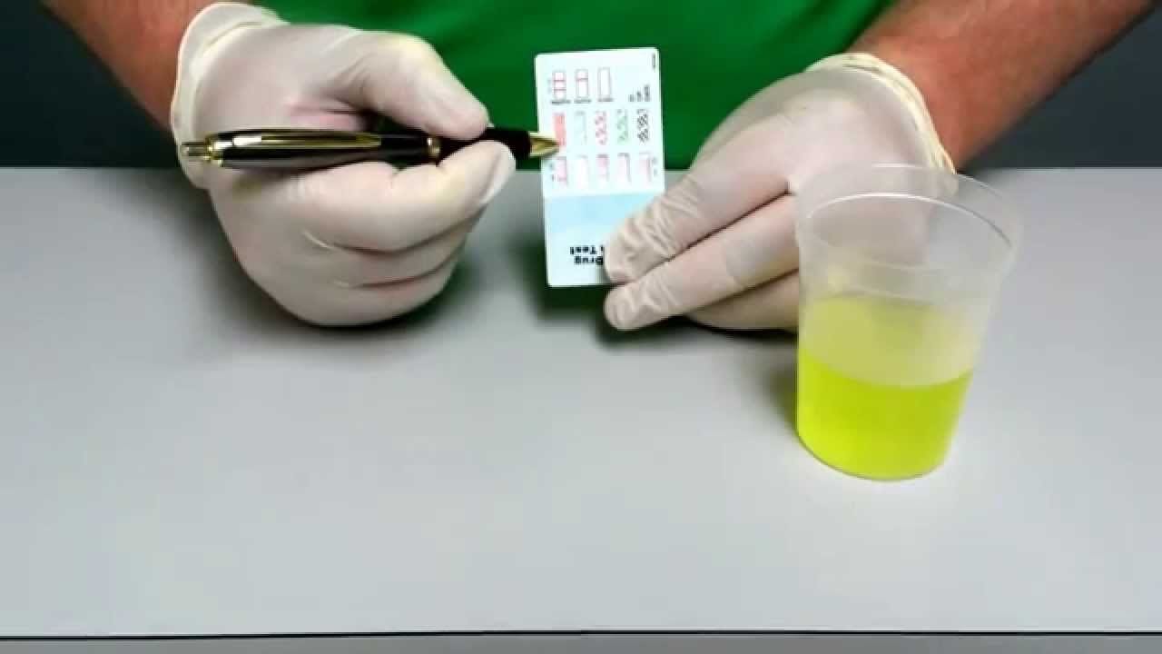 Instant vs. Lab-Based Drug Testing: Which Method is Right for Your Workplace?