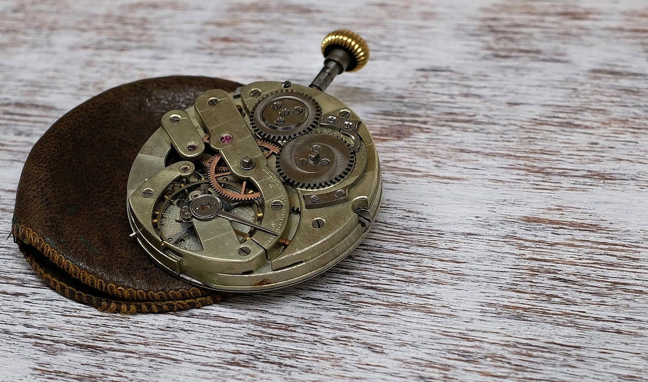 The Perfect Fit: SD1953 Steeldive Men’s Watch