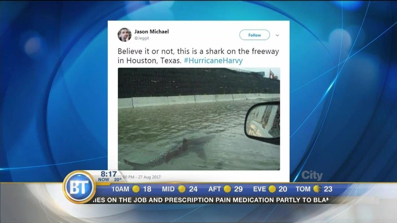 Sharks on the Freeway: Debunking a Viral Hurricane Harvey Hoax