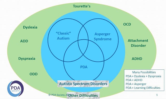 The Difference between ODD and PDA | by Steph Curtis | Medium