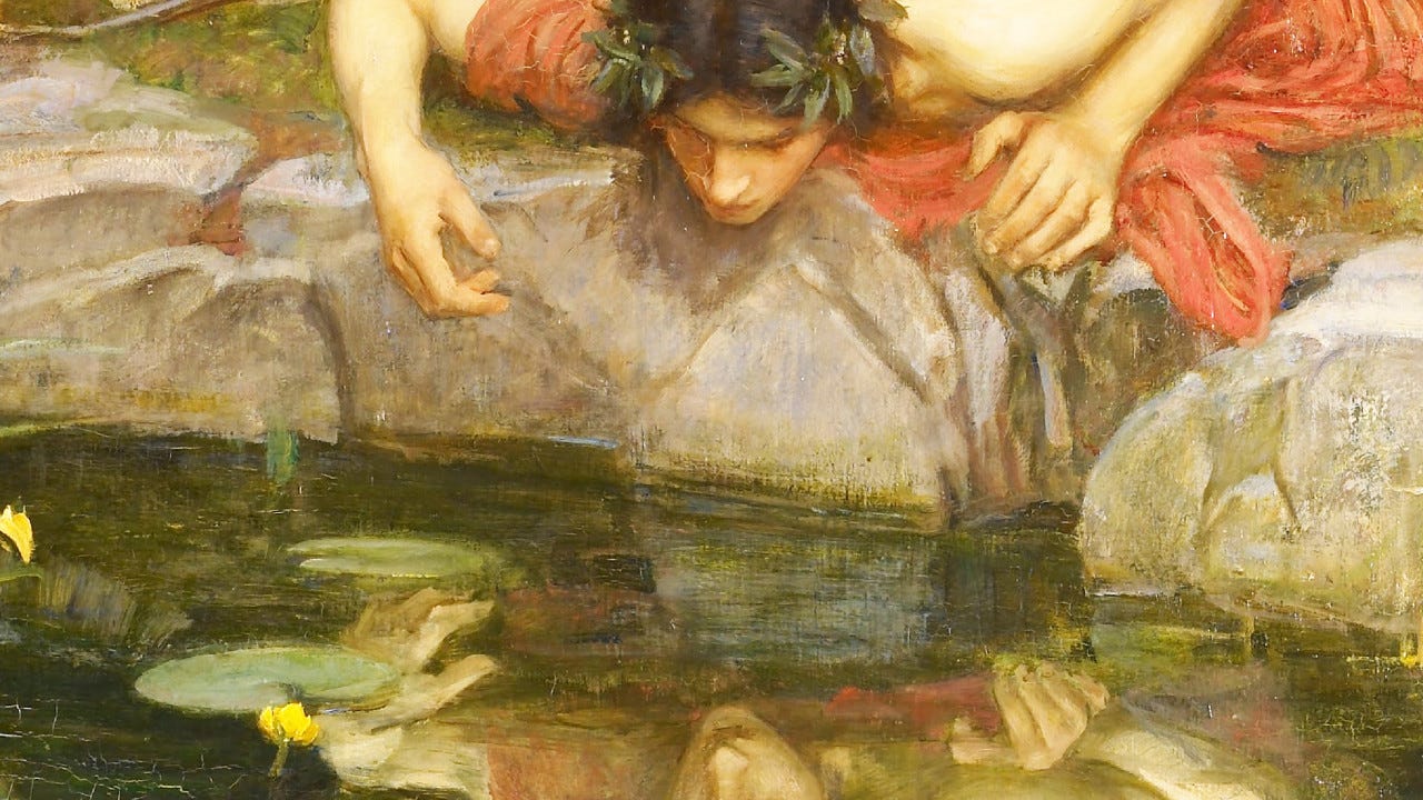 O REFLEXO DE NARCISO