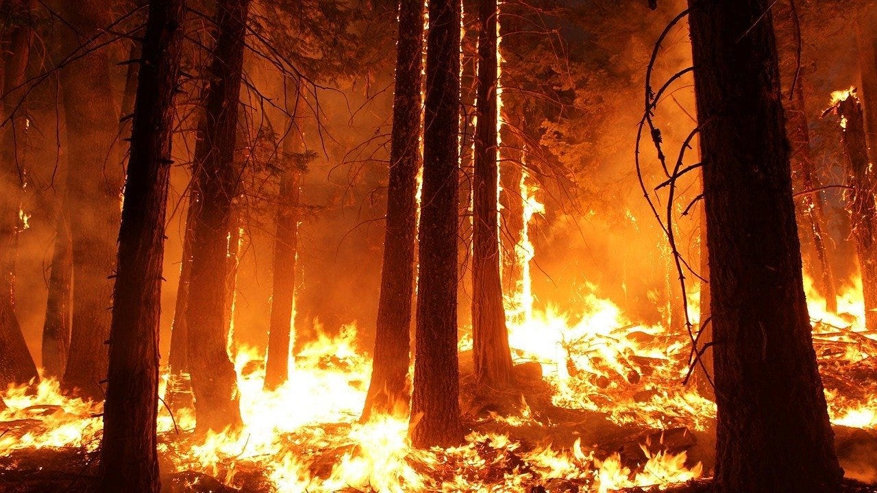 Colorado wildfires ravage hundreds of homes, force mass evacuations