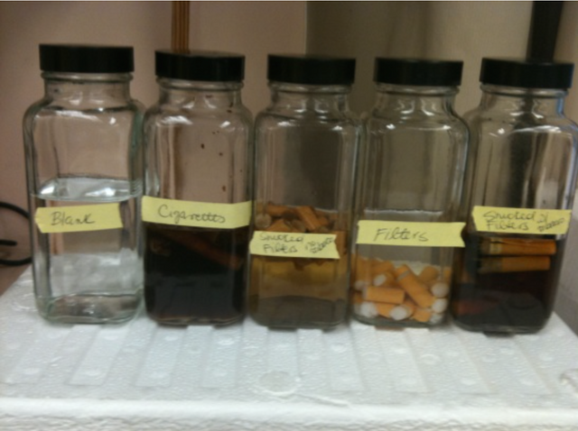 The short history, complex science and escalating problem of cigarette butts  | by Jon Ford