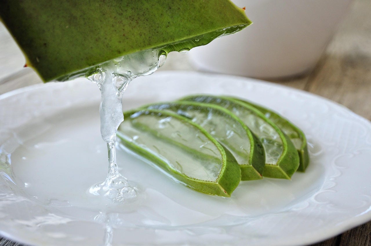 Aloe Vera: Dicas naturais para cuidar da pele e dos cabelos