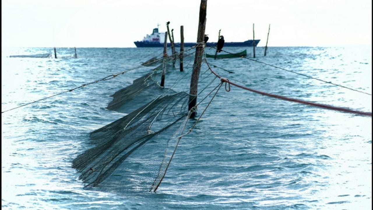 What the Dalyan Does Not Tell