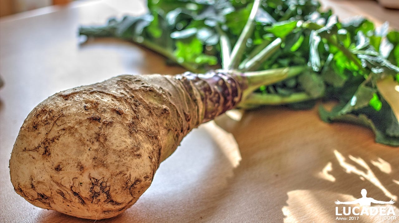 Il cavolo Navone e come prepararlo, la ricetta