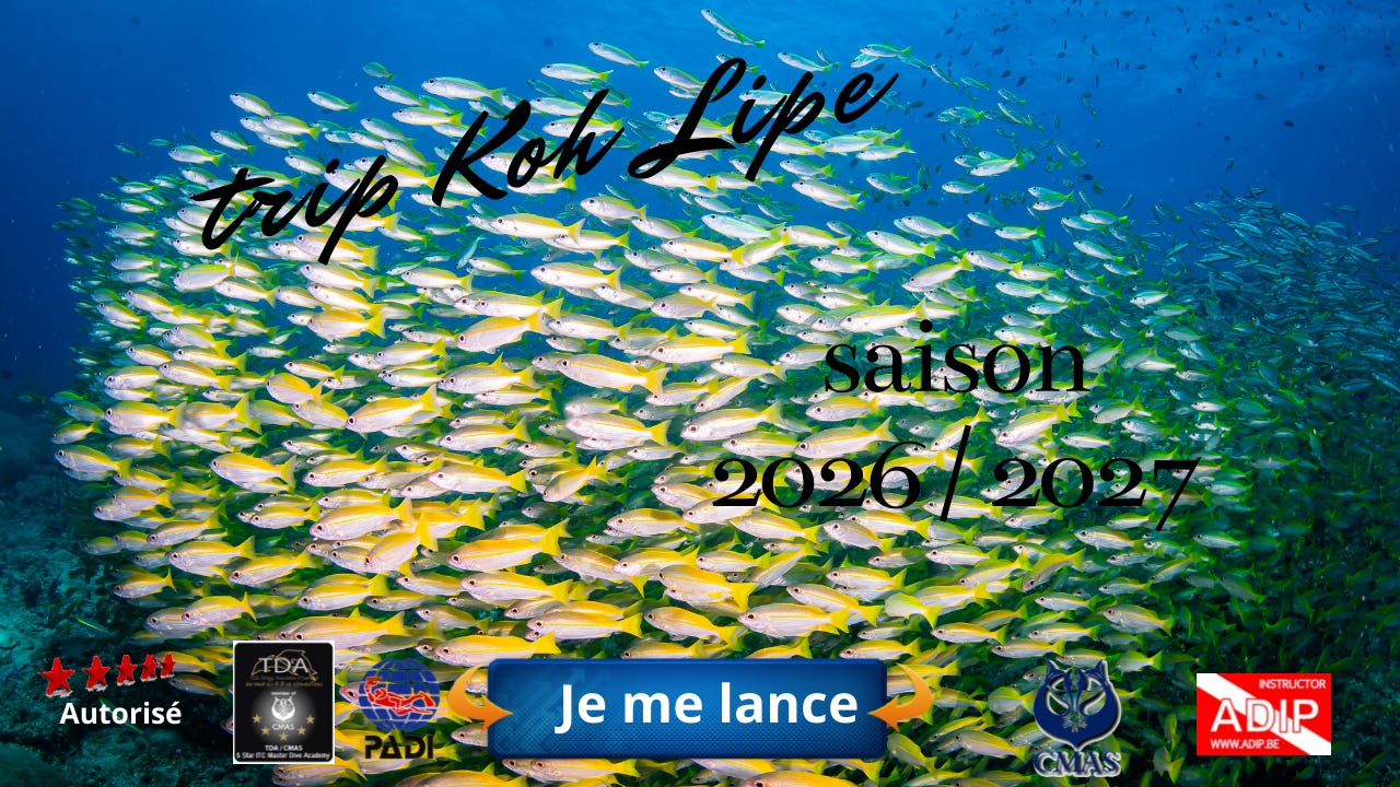 Suivez mes aventures @ https://koh-lipe.plongee-asie.com/