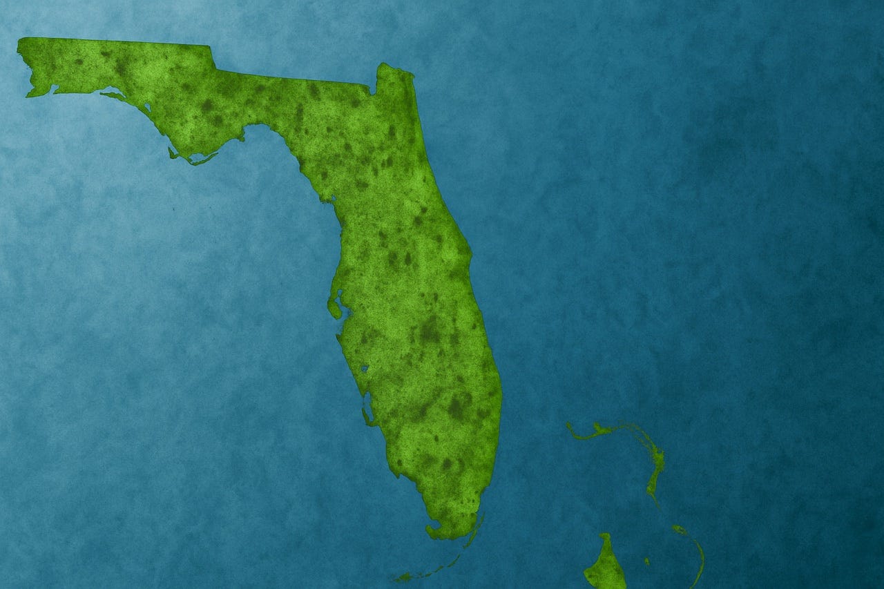 13 Things Floridians Need to Know About Mold & Mildew