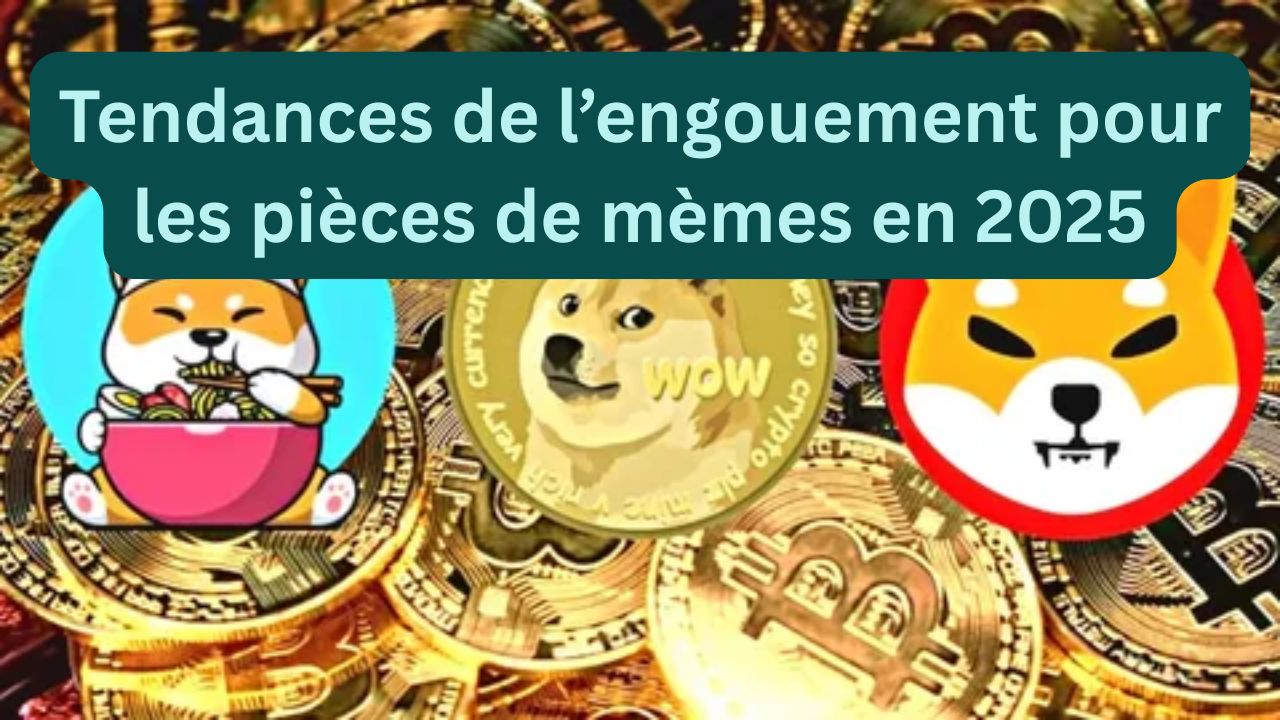Tendances de l’engouement pour les pièces de mèmes en 2025