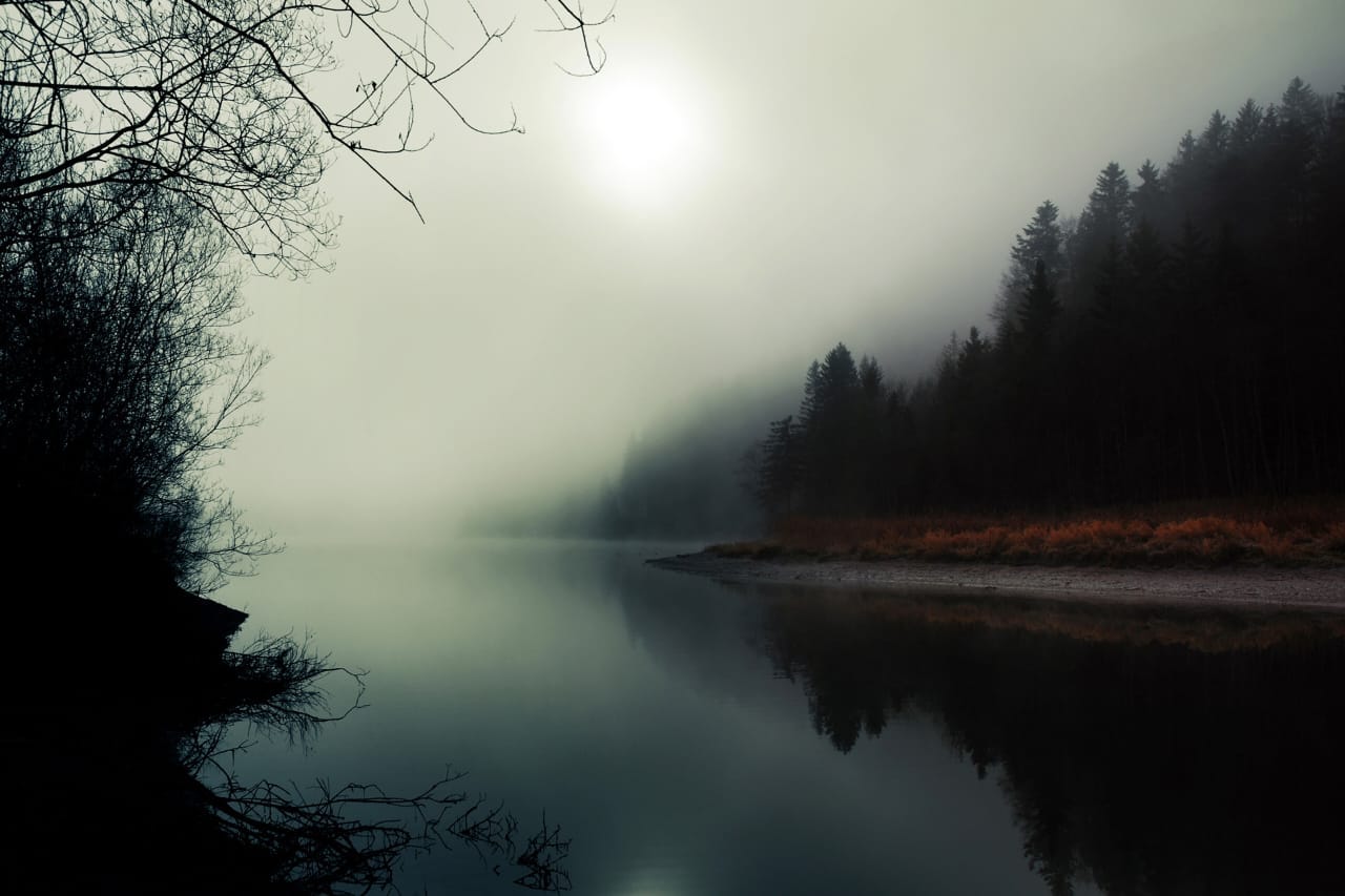 What is so tranquil about foggy mornings?