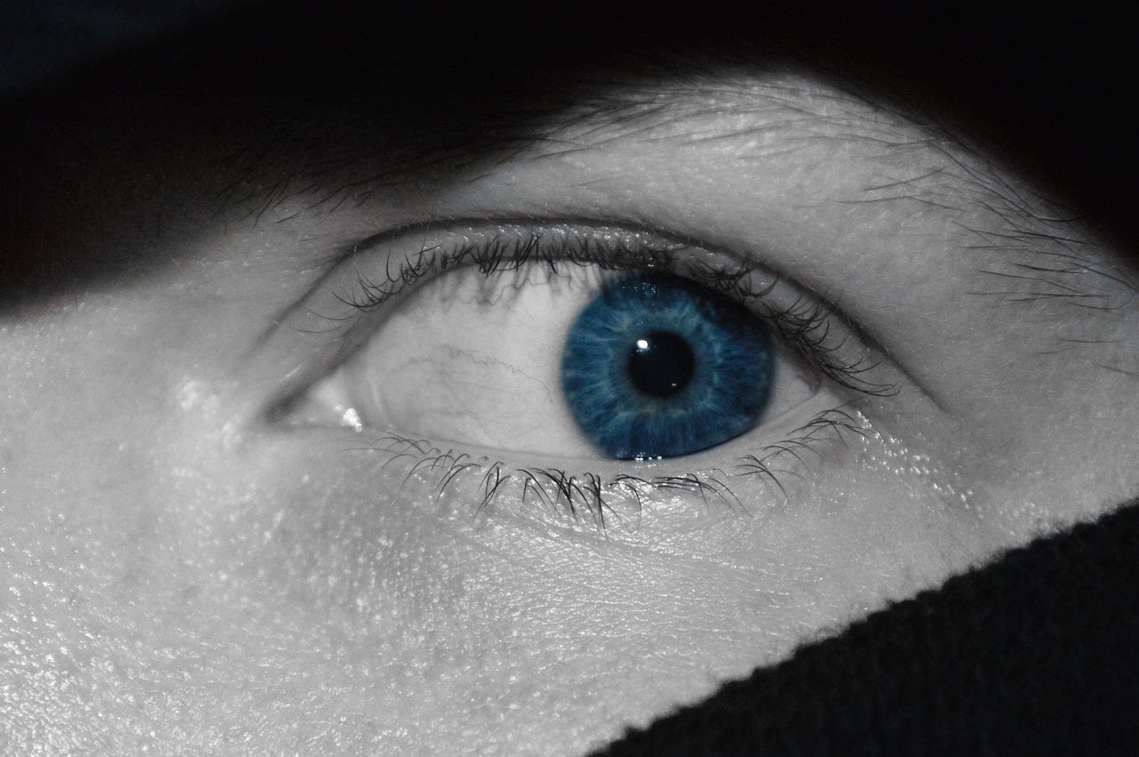 What the ground taught me about fear