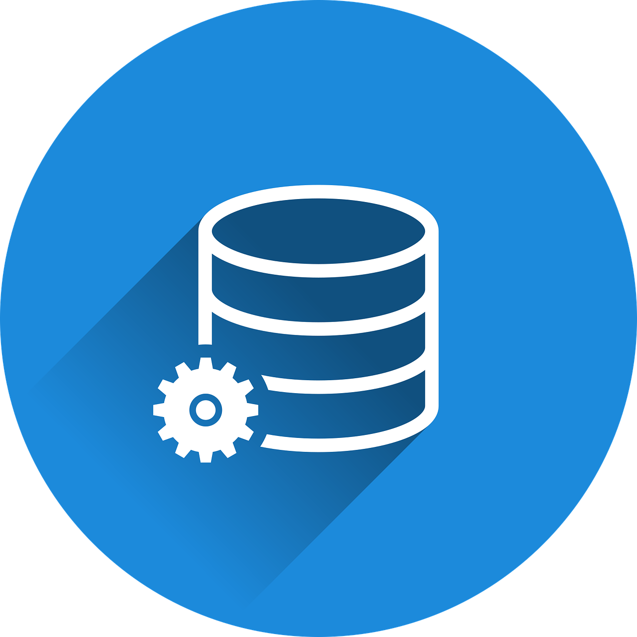 Django and Databases: How to Connect Relational Databases and Which One You Should Choose