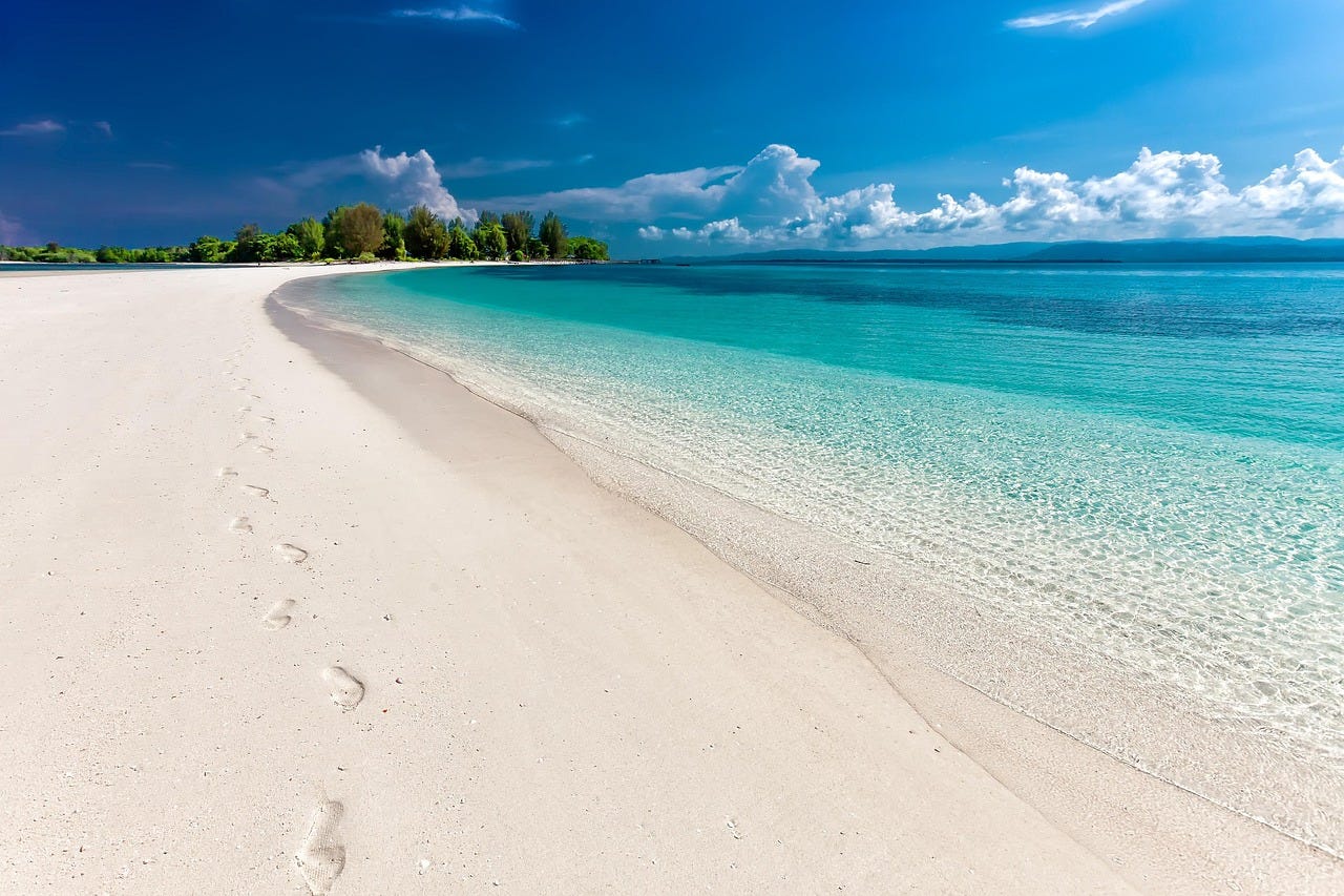 Best Time to Visit Andaman and Nicobar Islands with Family and Why