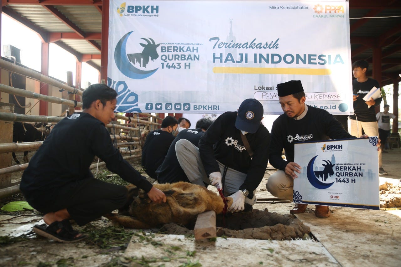 BPKH Bersama Laznas PPPA Daarul Qur’an Salurkan 284 Hewan Qurban pada Idul Adha 1443 Hijriyah
