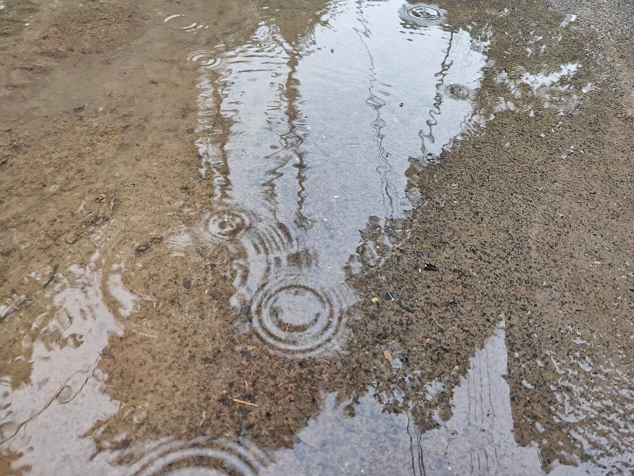 Flooded, Pooled, Puddled