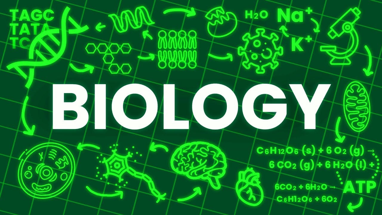 How to Write Perfect Answers in ICSE Biology Class 10 (Using Selina Solutions Smartly)