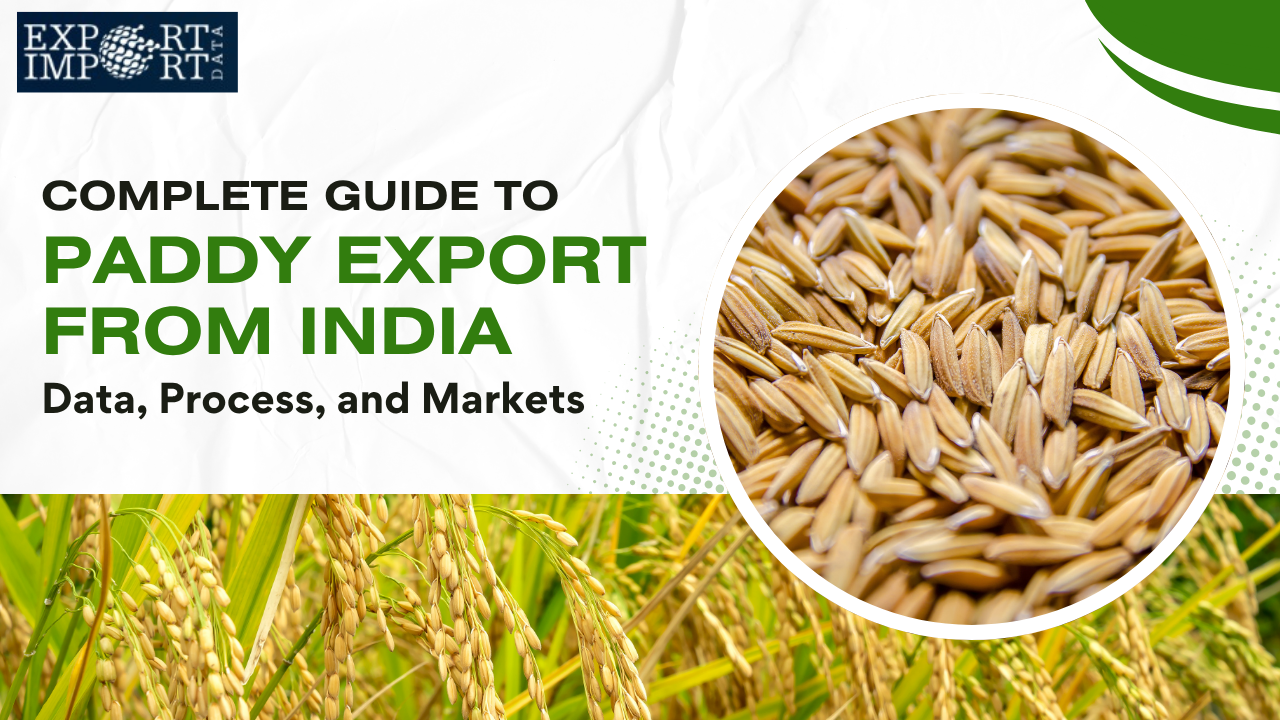 Complete Guide to Paddy Export from India: Data, Process, and Markets