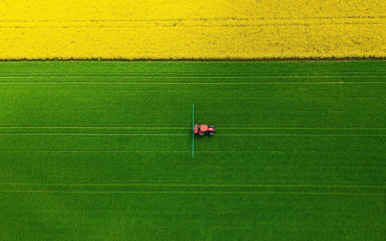 Fakten zu unserer Ernährung