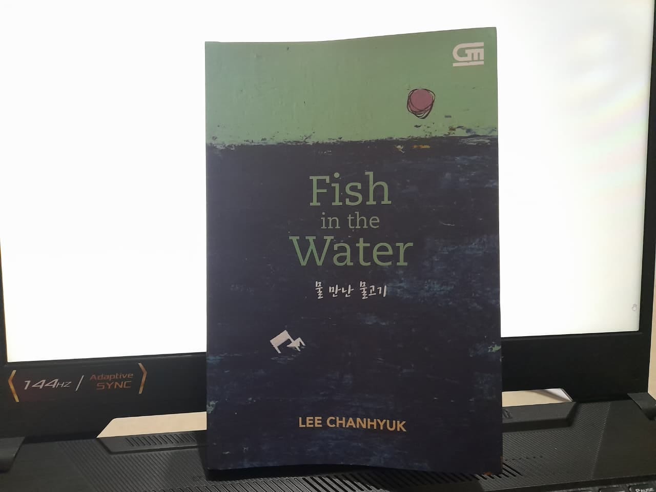 Novel Fish in the Water (2019) karya Lee Chan Hyuk