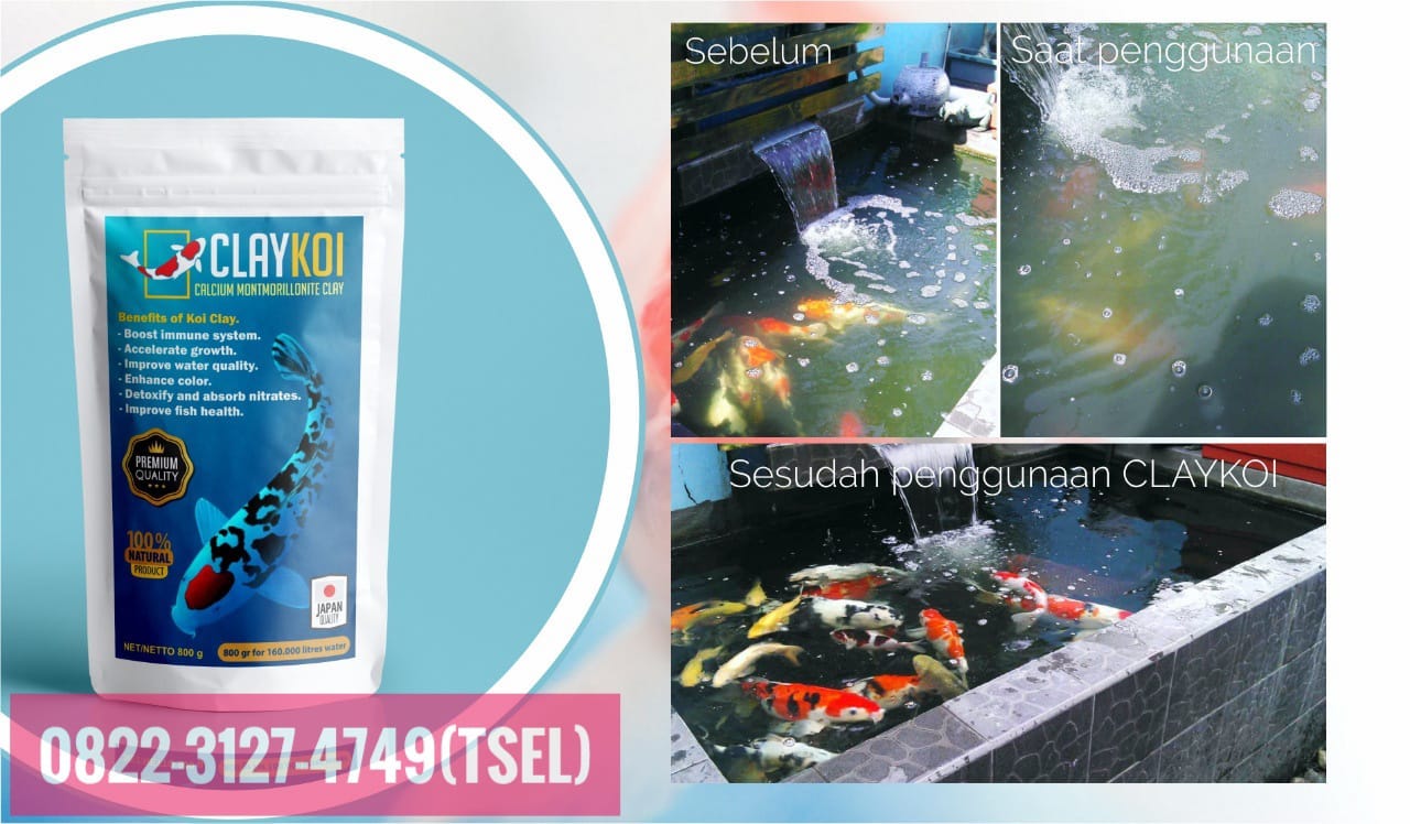 WA : 0822–3127–4749, Supplier CLAYKOI Penjernih Air Kolam Koi Keruh, Hijau Alga di Depok Jakarta