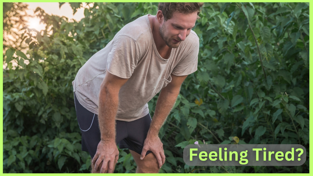 Tackling Fatigue and Boosting Energy While Living with Atrial Fibrillation (AFib) (Complete Guide)