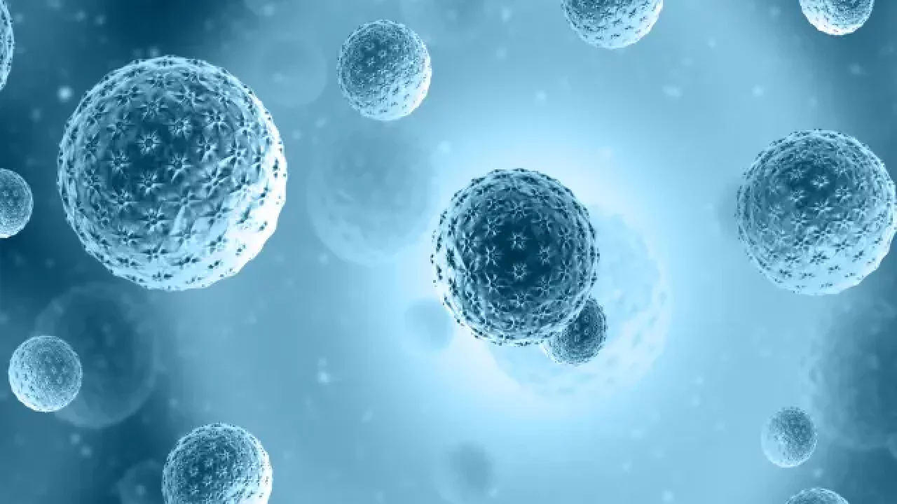 How Cell-Based Functional Assays Drive Precision Medicine and Targeted Therapies