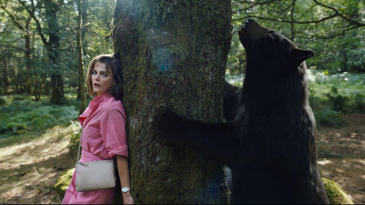 What Happens When You Give a Bear a Shit Ton of Cocaine?