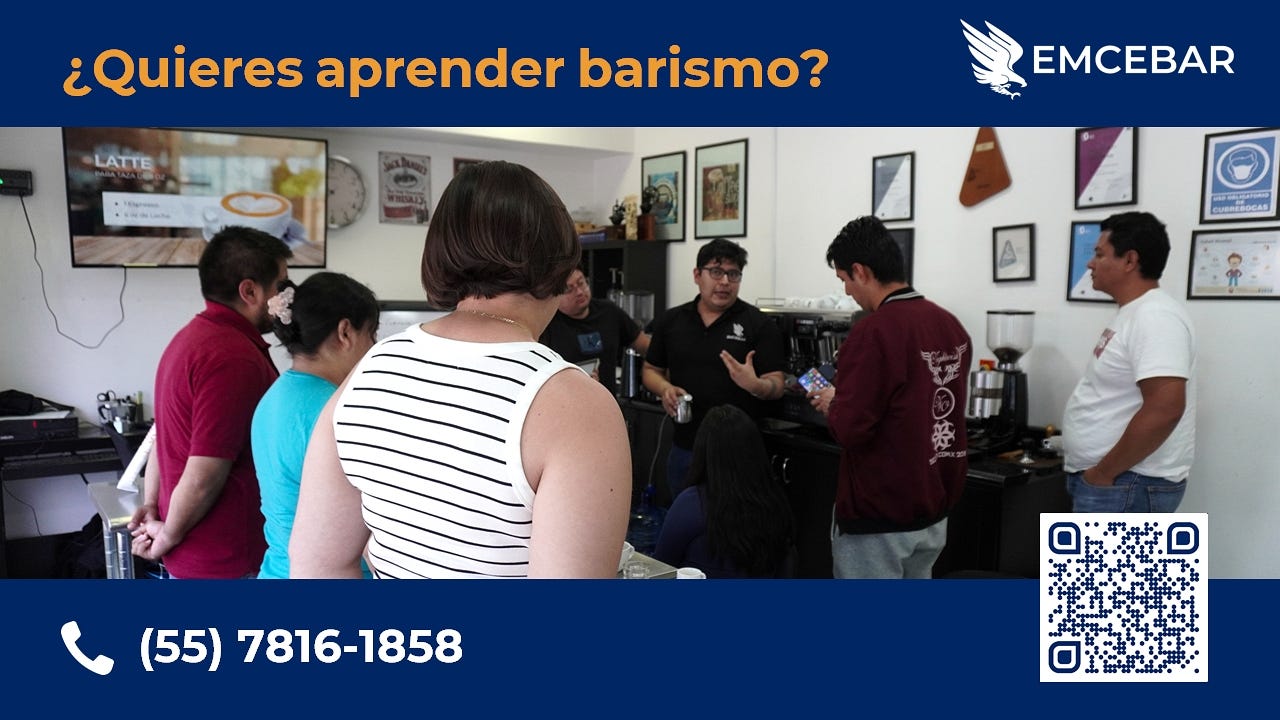 ¿Qué es Barismo, para qué sirve y dónde aprenderlo?