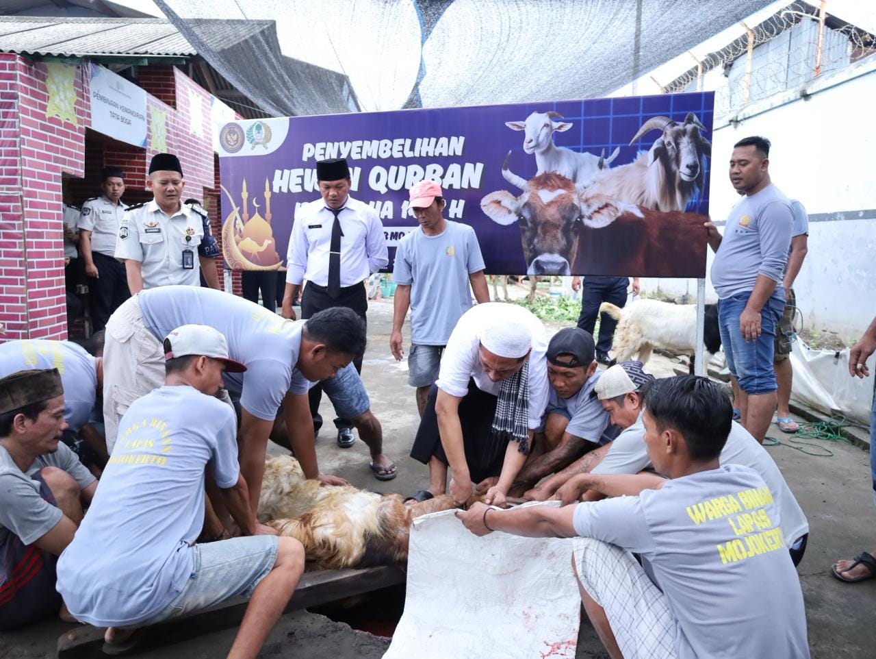 Semangat Kebersamaan, Lapas Mojokerto Gelar Penyembelihan Hewan Qurban Idul Adha 1447 H